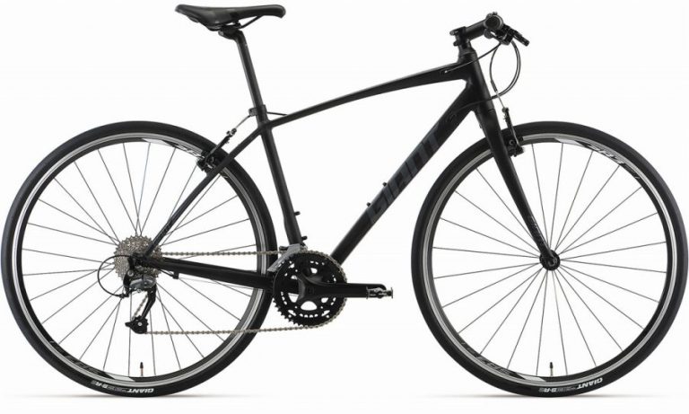 Our hybrid bike - Giant Escape RX2_2020