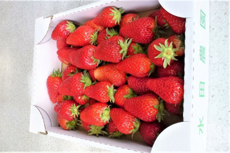 Strawberries in Nara