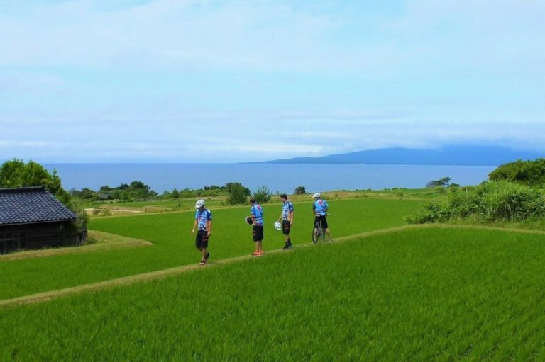 Sado Island rice field