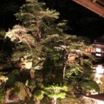 Booking Form – Nikko/Aizu