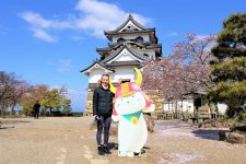 Hikone castle