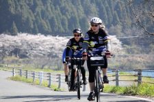 Lake Biwa cycling sakura season