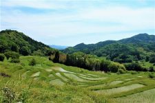 Minamiboso bike tour oyama terraced rice paddies