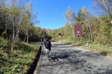 Cycling on Okushiga Forestry Road