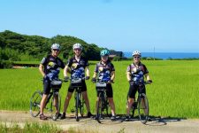 Sado Island bike tour rice field