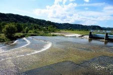 Tama River Hamura water intake weir